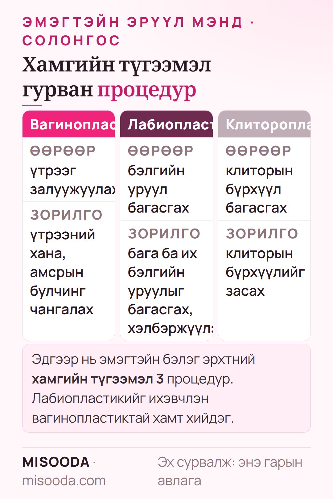 Солонгост эмэгтэйн бэлэг эрхтний мэс засал: хамгийн түгээмэл гурван засал — вагинопластик (үтрээ залуужуулах), лабиапластик (бэлгийн уруул багасгах), клиторопластик (клиторын бүрхүүл багасгах)