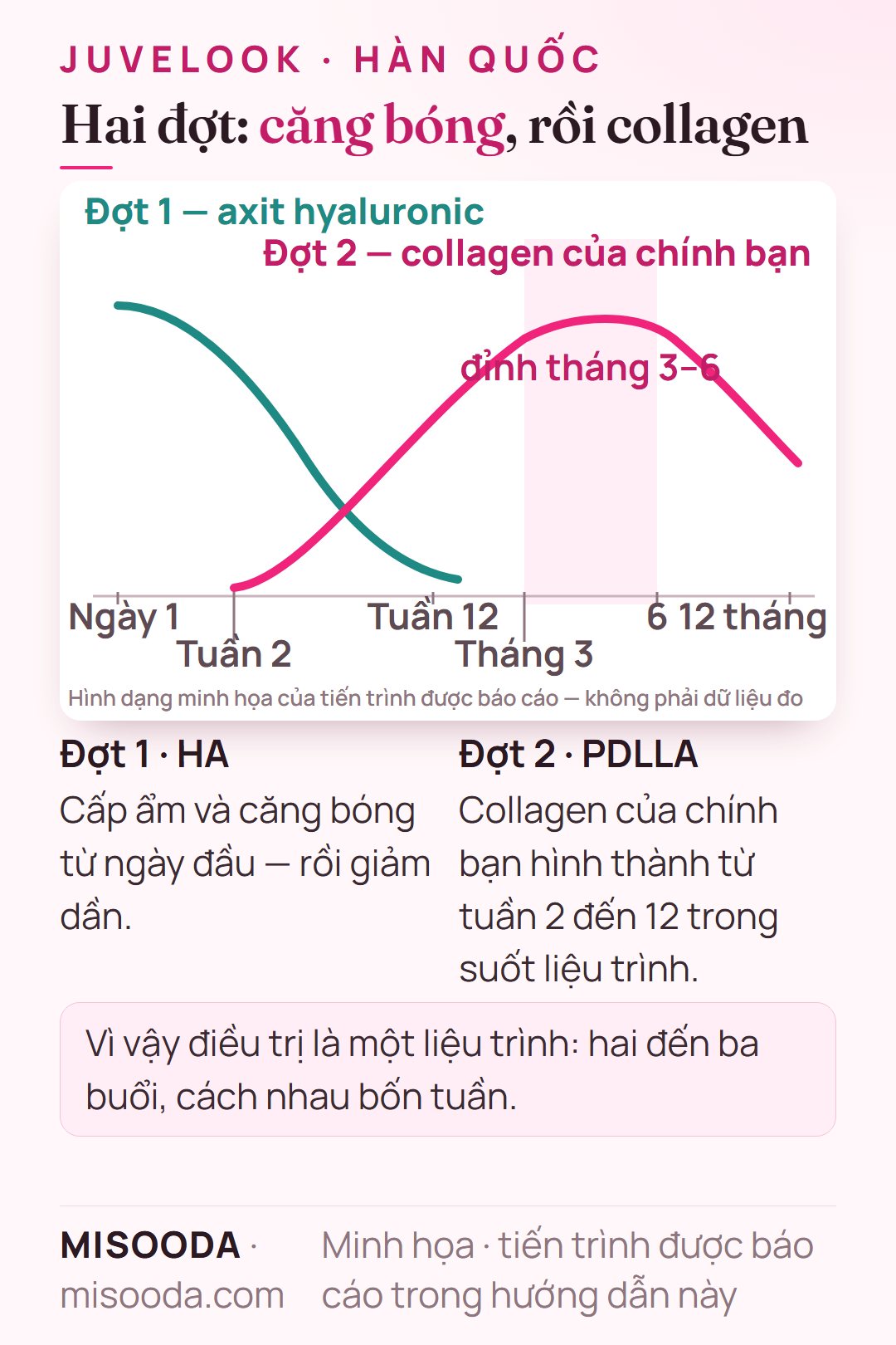 Tiến trình hai đợt của Juvelook: axit hyaluronic cấp ẩm từ ngày 1 rồi giảm dần, sau đó PDLLA tạo collagen từ tuần 2 đến 12 và đạt đỉnh ở tháng 3–6