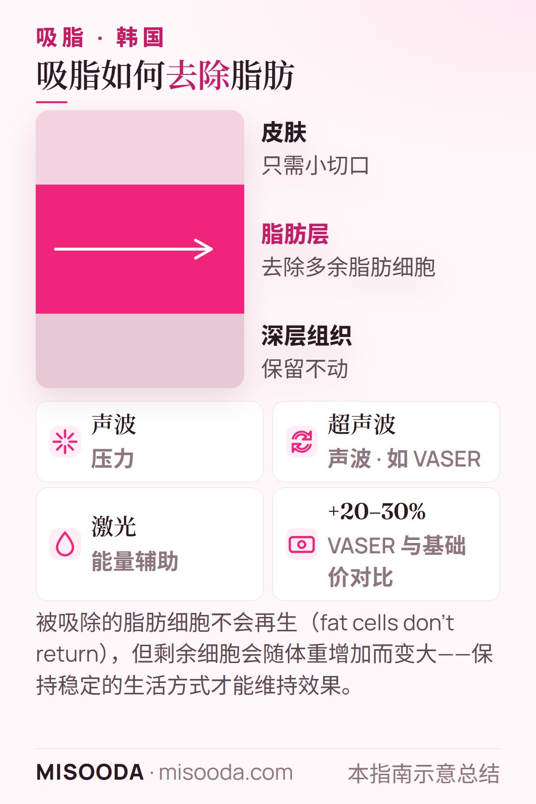韩国 吸脂原理:利用声波压力、超声波或激光从脂肪层去除多余脂肪细胞;VASER 价格约高 20–30%