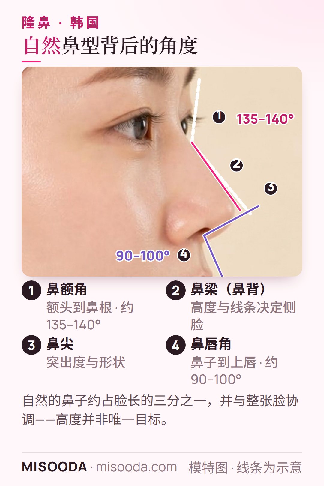 韩国 隆鼻参考的理想鼻型比例示意图:鼻额角约 135–140°,鼻唇角约 90–100°,并在侧脸上标示鼻梁与鼻尖的位置